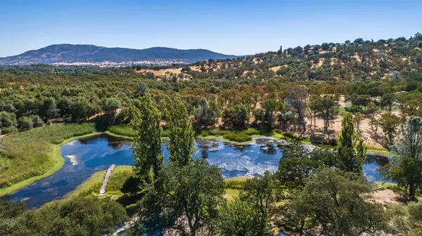 769 Dogtown RD, Angels Camp, CA 95222