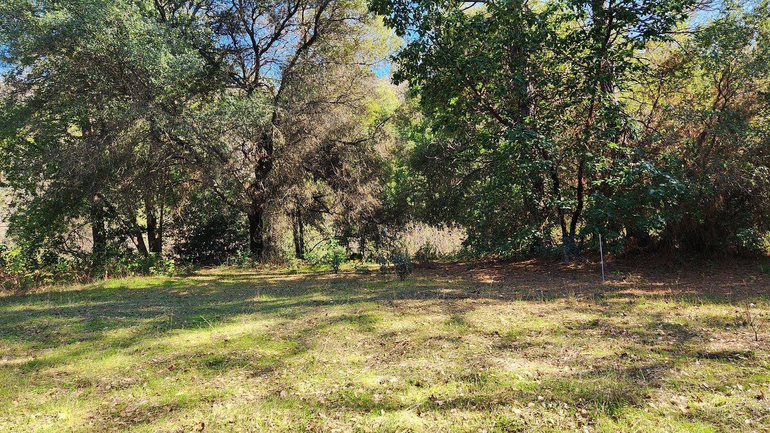 Dobbins, CA 95935,acres Merriam RD