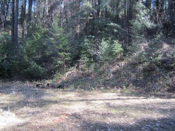 1636 Swansboro RD, Placerville, CA 95667