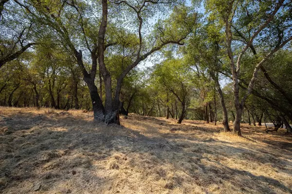 El Dorado Hills, CA 95762,4105 Raphael DR