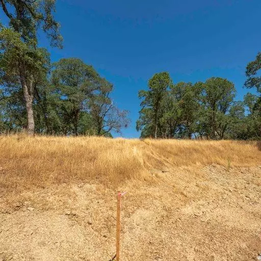 El Dorado Hills, CA 95762,159E Peabody CT