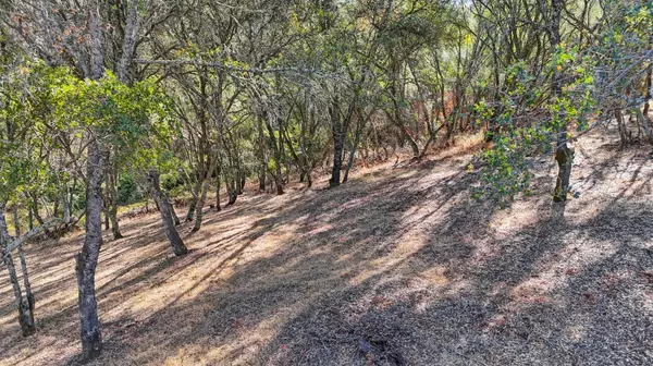 El Dorado Hills, CA 95762,6084 Western Sierra WAY