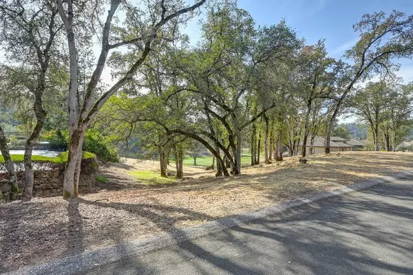 Auburn, CA 95602,13016 Austin Forest CIR