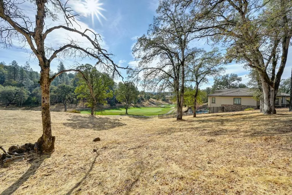 Auburn, CA 95602,13016 Austin Forest CIR