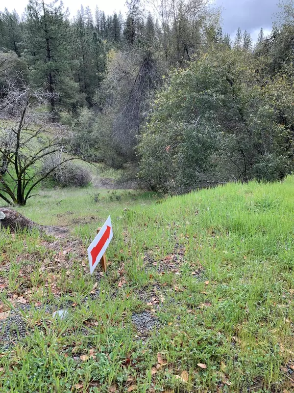 Grass Valley, CA 95949,17242 River Ranch RD