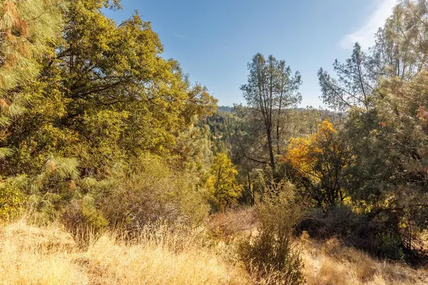 Camino, CA 95709,3551 Red Dog DR