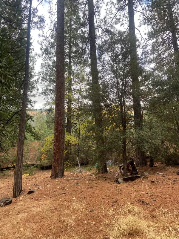 Kyburz, CA 95720,0 Pickwick