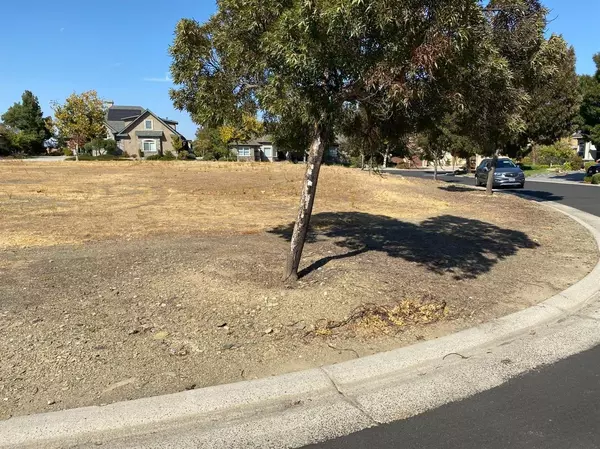 Copperopolis, CA 95228,116 Greenstone CT