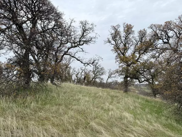Red Bluff, CA 96080,20810 The Oaks DR