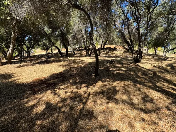 Grass Valley, CA 95949,17499 Patricia WAY