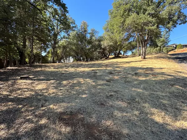 Grass Valley, CA 95949,17499 Patricia WAY