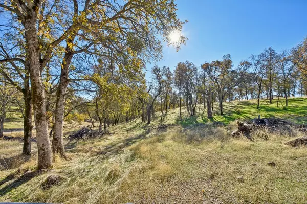 Browns Valley, CA 95918,6370 Big Oak LN