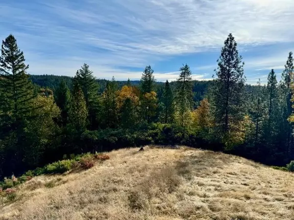 Placerville, CA 95667,4051 Pacific Crest CT