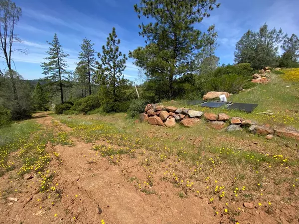 Penn Valley, CA 95946,17354 Cloudburst WAY