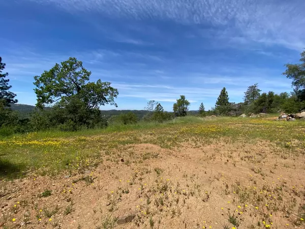 17354 Cloudburst WAY,  Penn Valley,  CA 95946