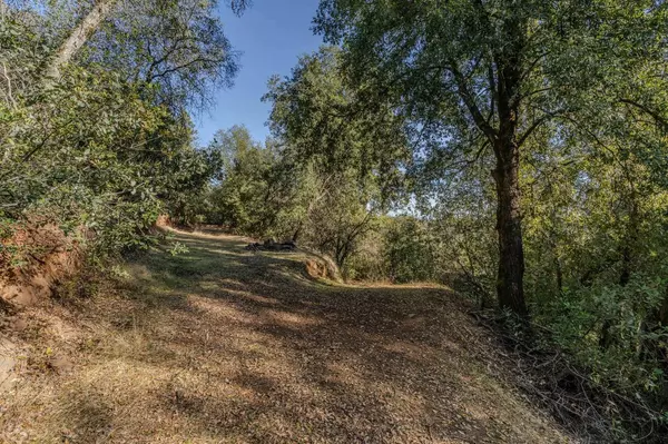 Sutter Creek, CA 95685,14238 Sutter Highlands DR