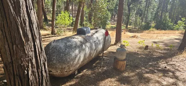 Camino, CA 95709,0 Cable Road