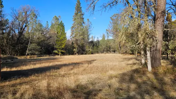 Dobbins, CA 95935,13467 lake francis rd