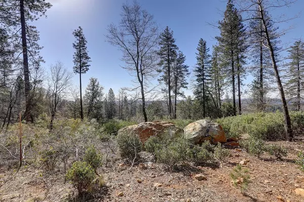 Grass Valley, CA 95945,14652 Carman CT