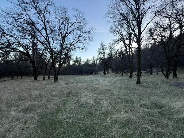 Oregon House, CA 95962,0 Country Rd 1057