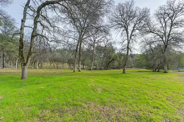 Auburn, CA 95602,Lot 199 Masters CT