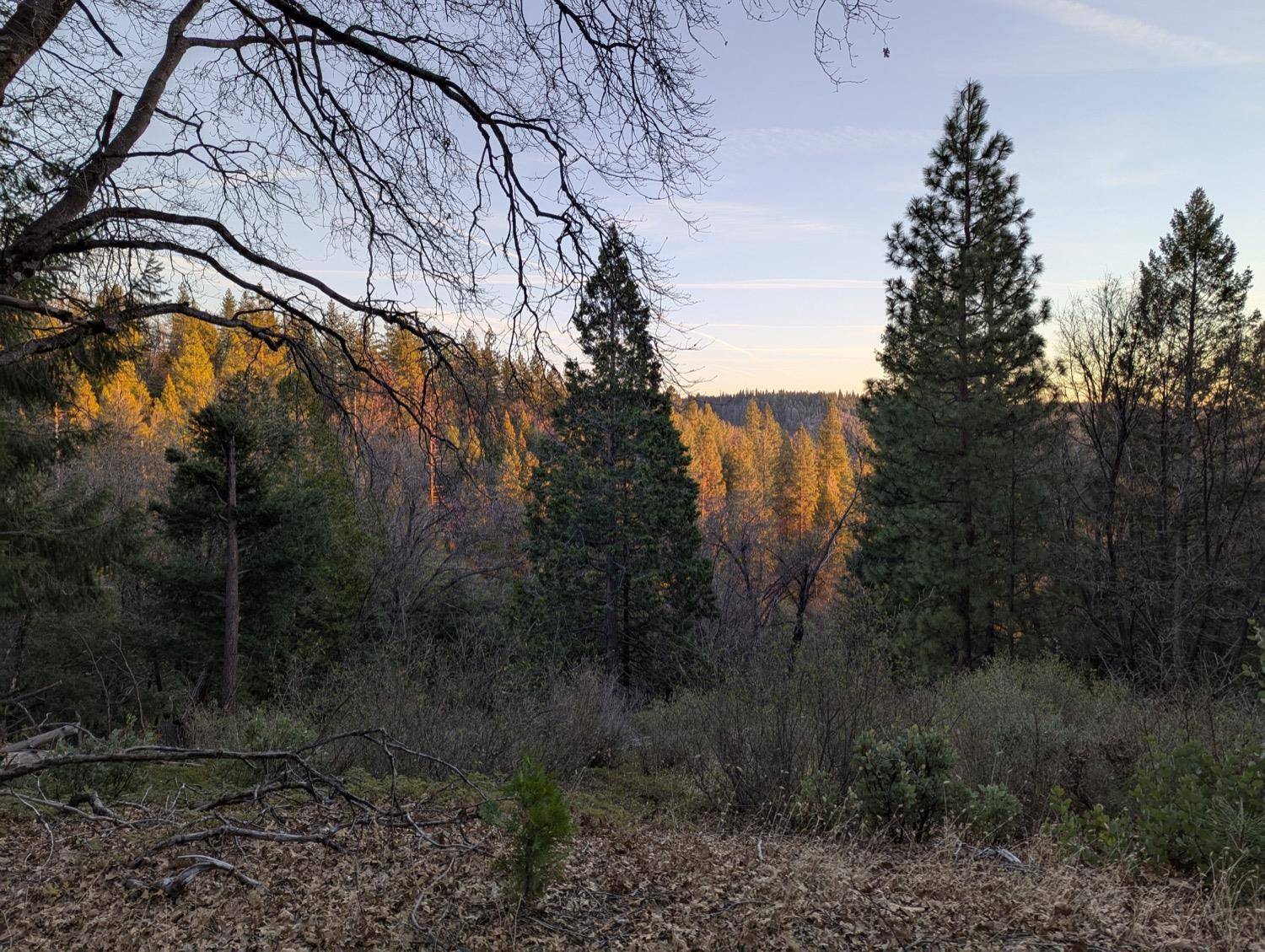 3000 Moody Ridge RD, Gold Run, CA 95717