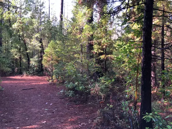 Challenge, CA 95941,0 Whispering Pines