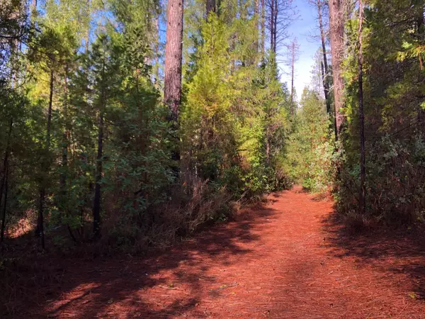 Challenge, CA 95941,0 Whispering Pines