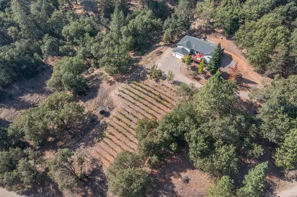 Camino, CA 95709,3520 Freegold DR