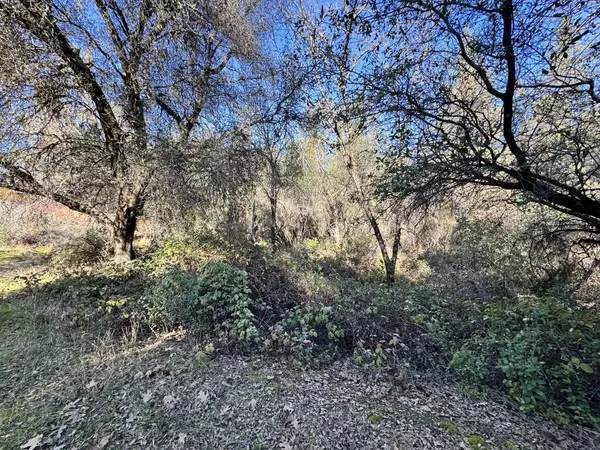 Diamond Springs, CA 95619,0 Joseph LN