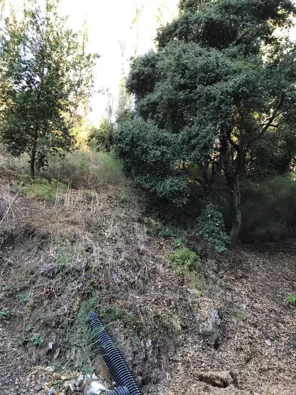 Oakland, CA 94611,0 Lauriston CT