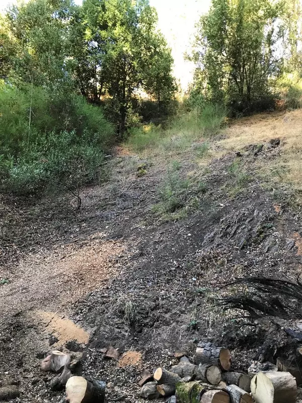 Oakland, CA 94611,0 Lauriston CT