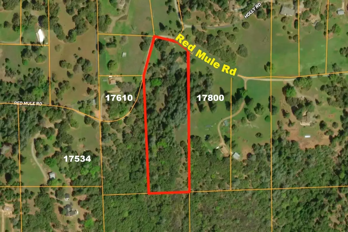 Fiddletown, CA 95629,17748 Red Mule RD