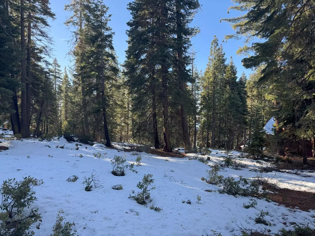 Carnelian Bay, CA 96140,5255 North Lake Blvd