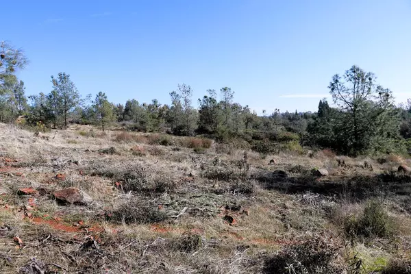 Shingle Springs, CA 95682,0 Product DR