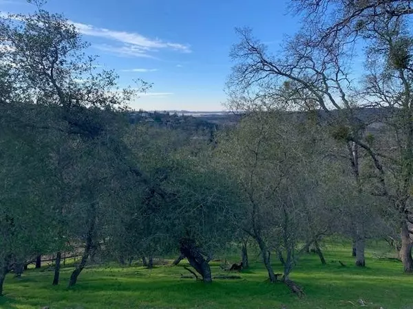 El Dorado Hills, CA 95762,859 Villa Del Sol