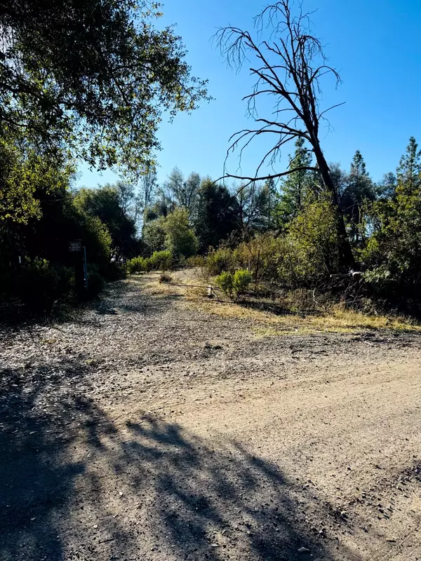 Mountain Ranch, CA 95246,9055 Rodesino RD