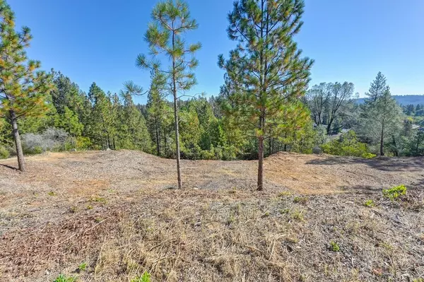 Placerville, CA 95667,2611 Kereka CT