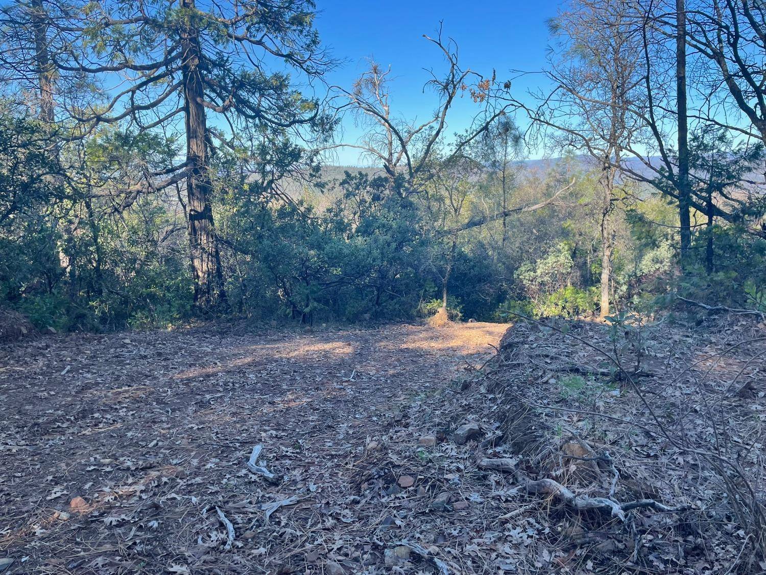 Oroville, CA 95966,0 Bandit LN
