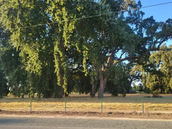 Nicolaus, CA 95659,278 Lee RD