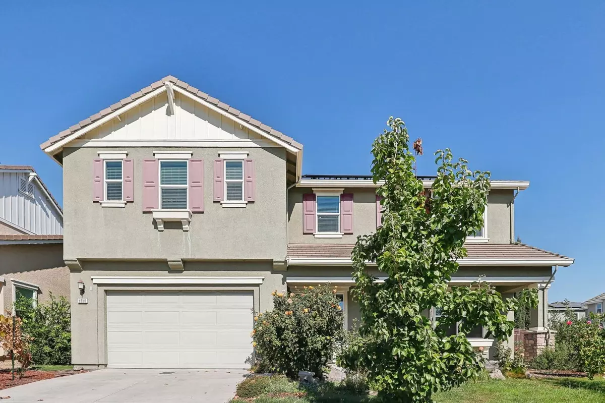 Rocklin, CA 95677,5656 Black Willow