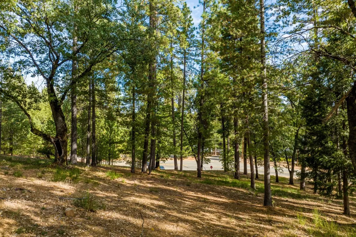 Meadow Vista, CA 95722,15215 Woodmont LN