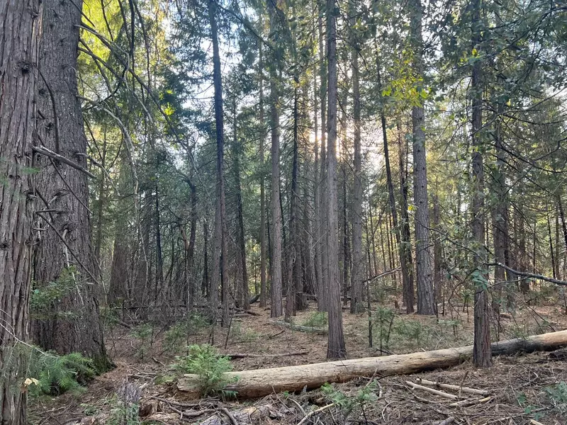 Acres Oso Mesa Ct Lot 24, Georgetown, CA 95634