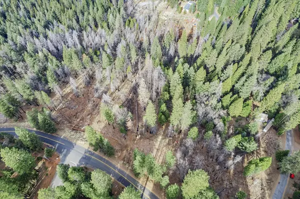 Grizzly Flats, CA 95636,9893 Grizzly Flat RD