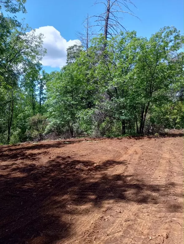 2710 Moody Ridge, Gold Run, CA 95714