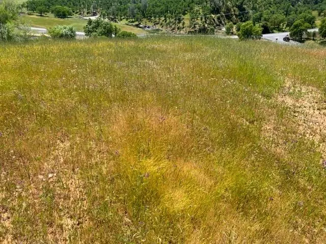 Copperopolis, CA 95228,1066 Cheyenne RD