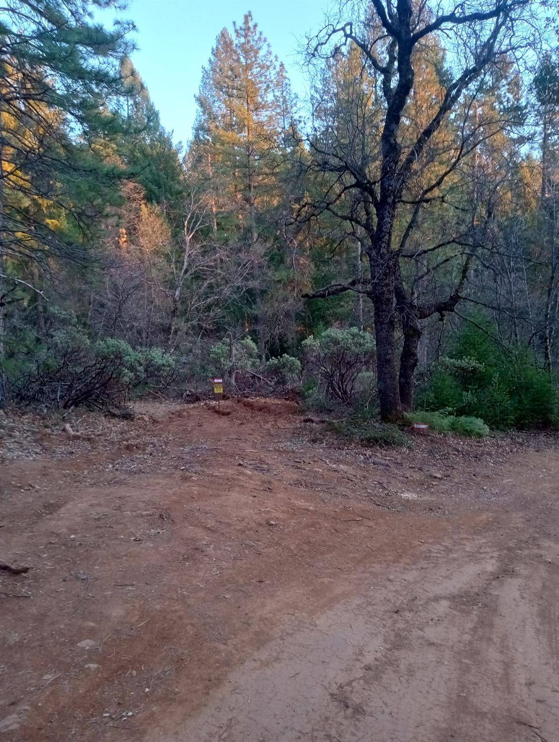Gold Run, CA 95717,3030 Moody Ridge