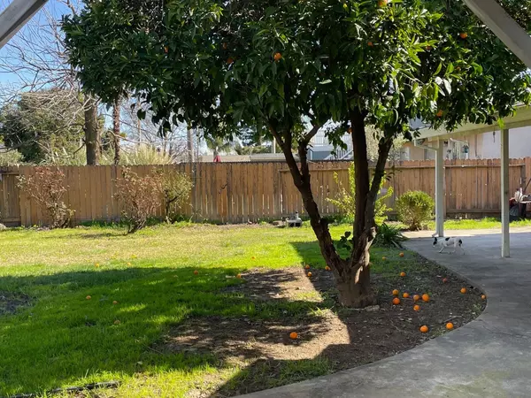 Winters, CA 95694,205 Rosa AVE