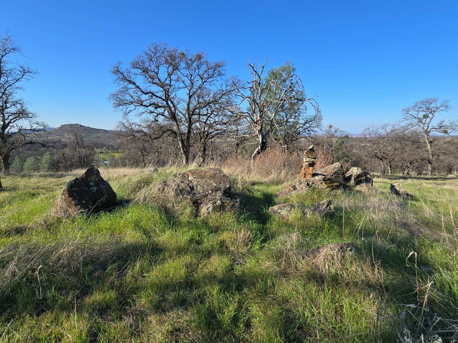 Marysville, CA 95901,12853 Alice WAY