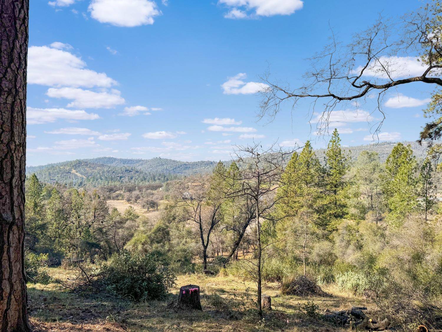 Grass Valley, CA 95949,11289 East Lime Kiln RD